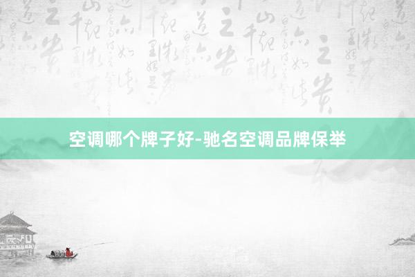 空调哪个牌子好-驰名空调品牌保举