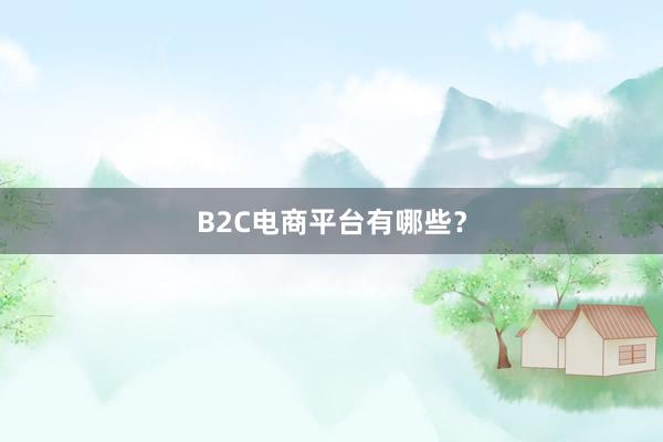 B2C电商平台有哪些？