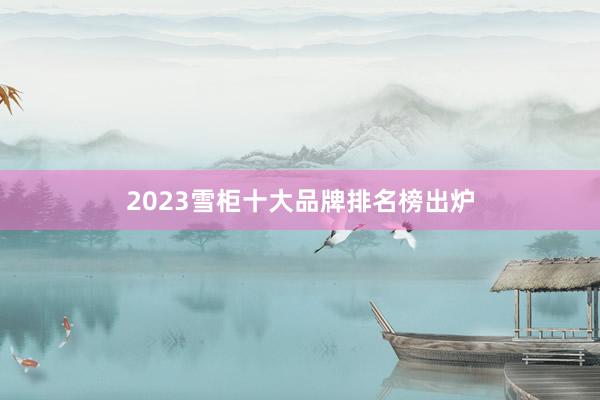 2023雪柜十大品牌排名榜出炉
