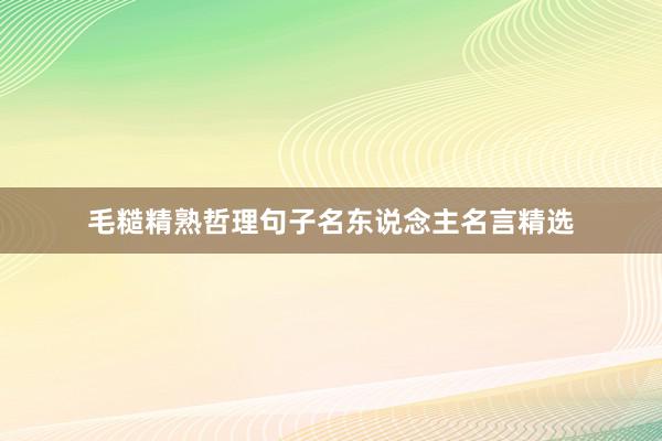 毛糙精熟哲理句子名东说念主名言精选